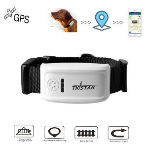 TKSTAR防丢GPS狗发现者